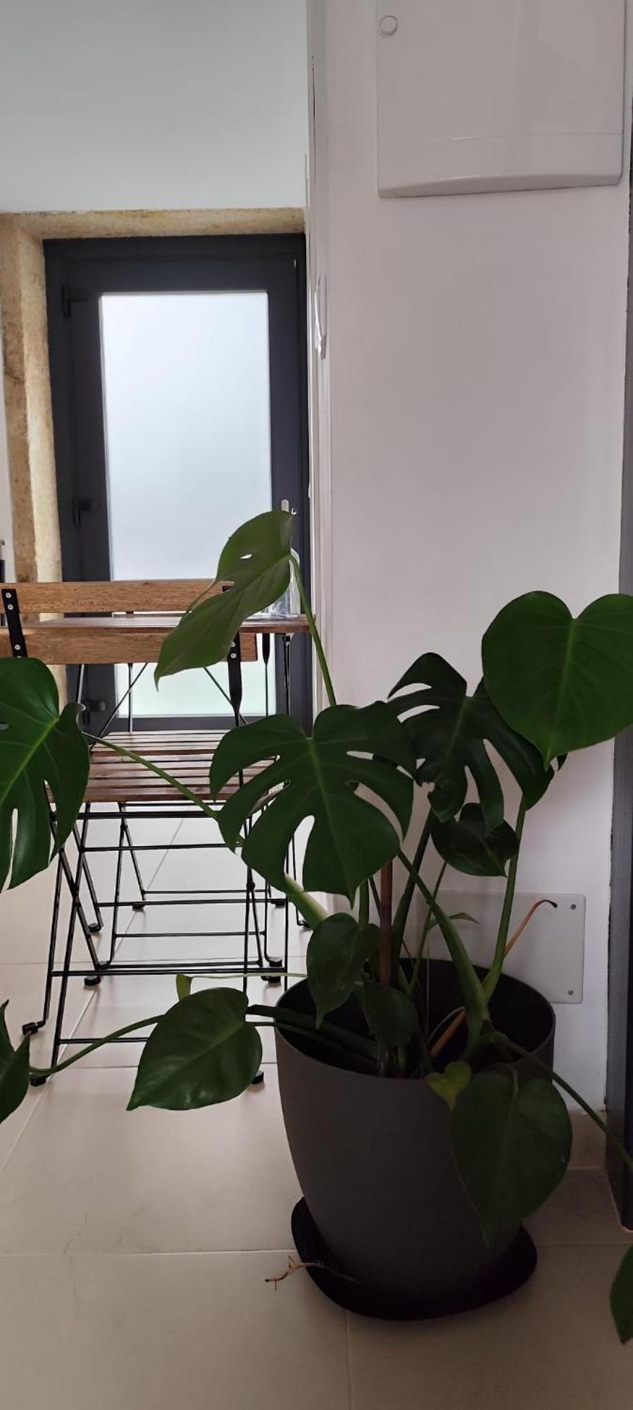 O Cabanel 菲尼斯特雷 外观 照片